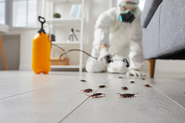 Commercial Rodent Management in Sudden Valley